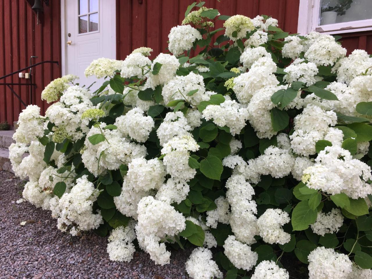 Brunsbo G:A Biskopsgard Hotell & Konferens Skara Esterno foto